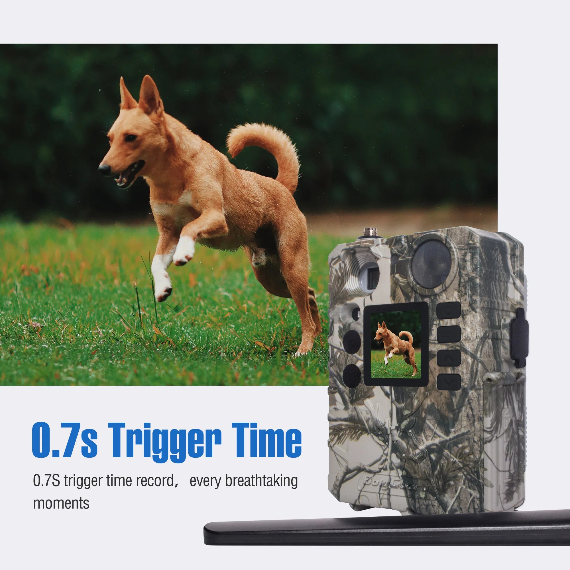 4G Cellular Trail Camera Solar Ready