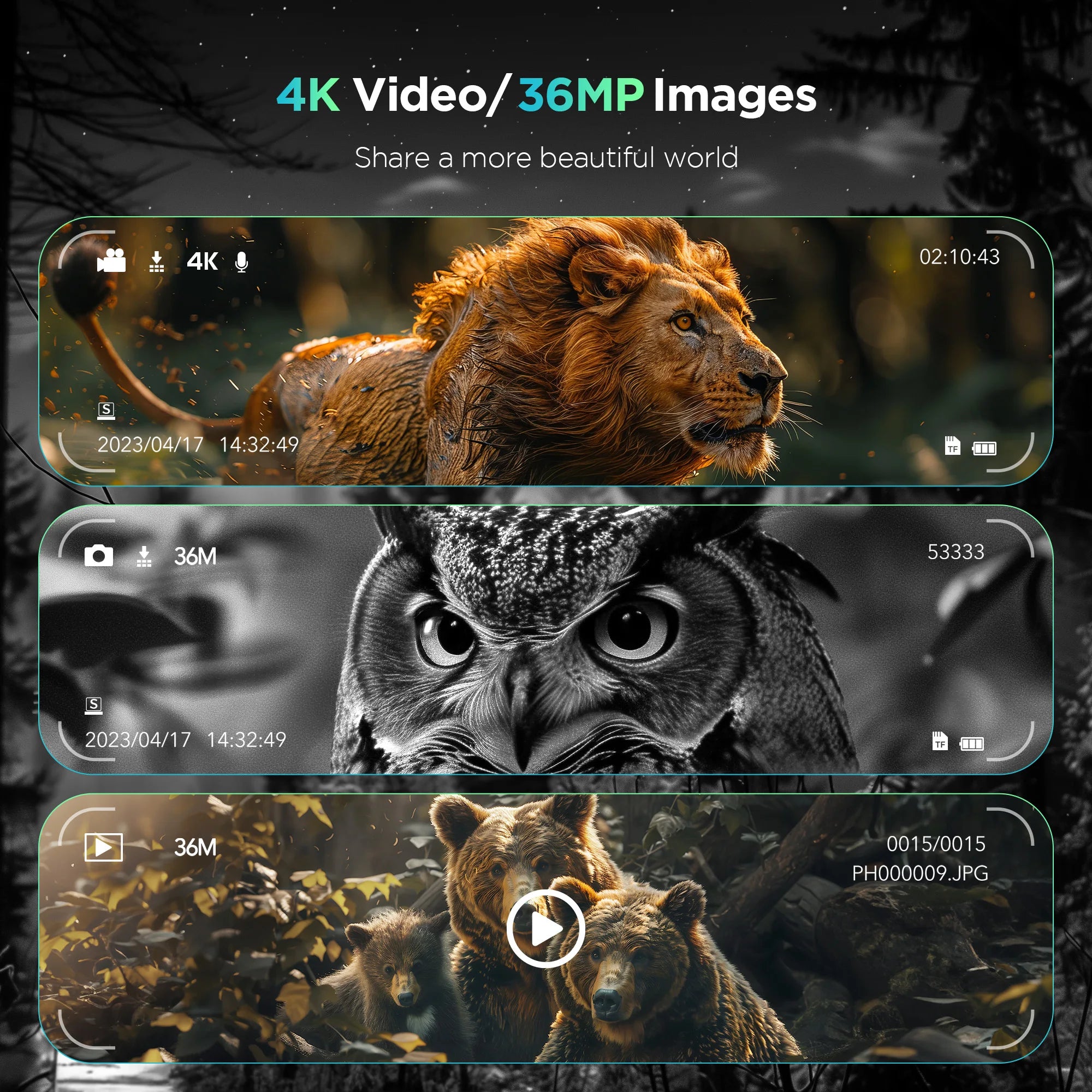 Night Vision Binoculars Goggles